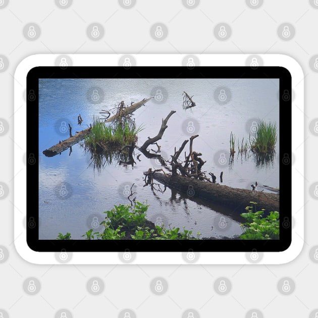 Water Scene with Dead Logs Sticker by Comic Dzyns
